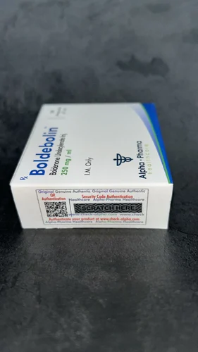 IMG_1330.webp IMG 1330