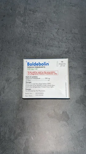 IMG_1331.webp IMG 1331