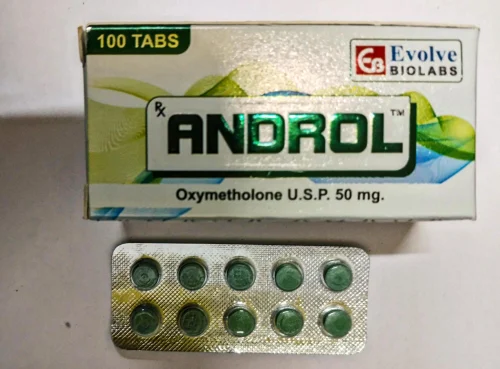 IMG_1400.webp IMG 1400