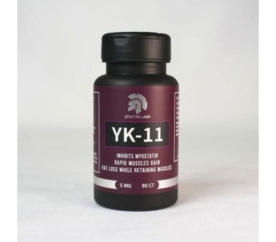 yk11-400x350-2.jpg yk11 400x350 2